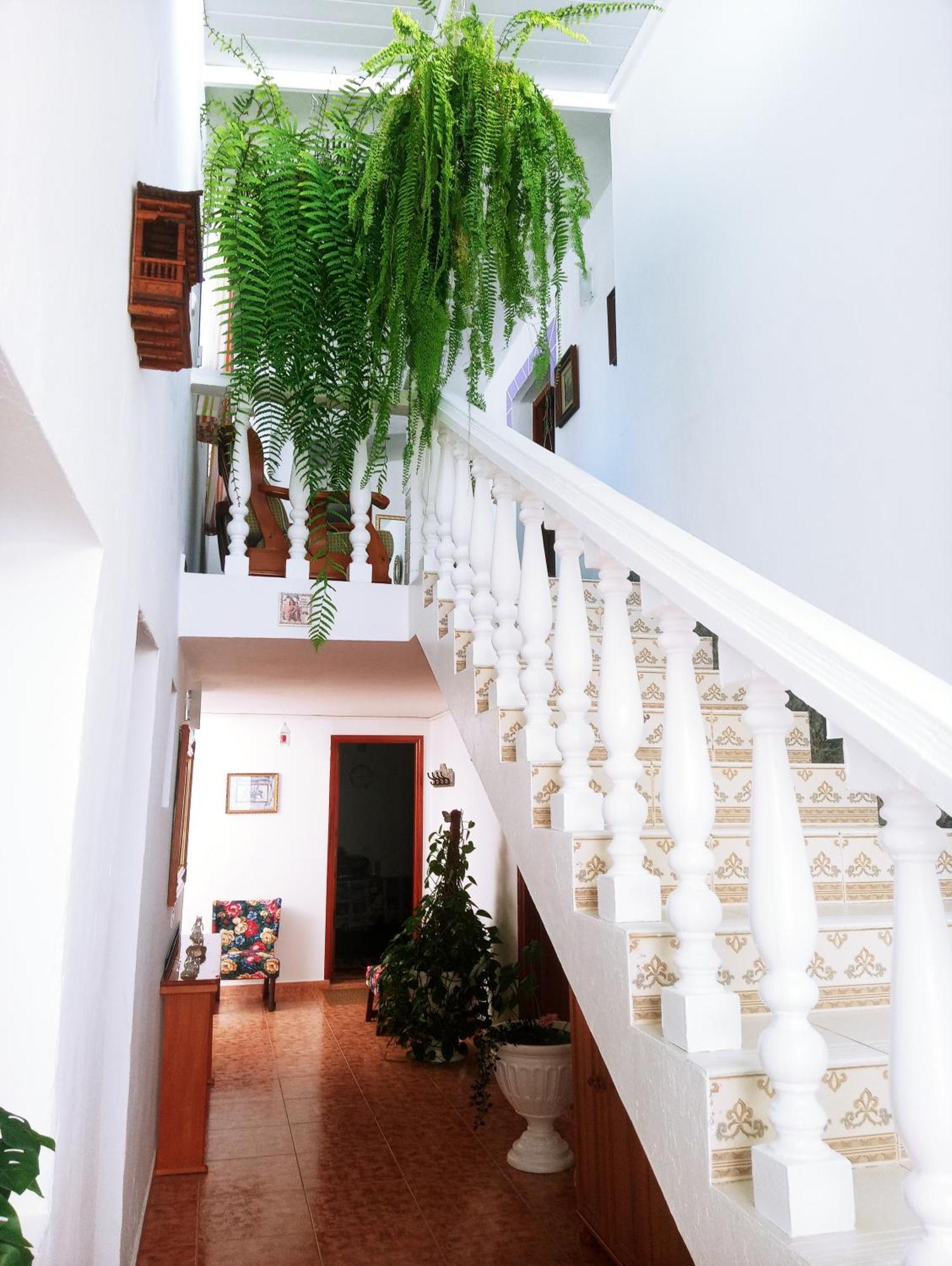 La Casa De Pa Villa Vega de San Mateo Eksteriør billede